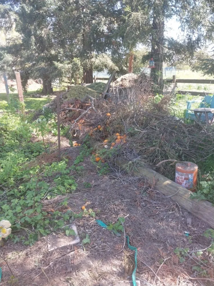 Professional emergency plumbing service in Turlock, CA - Lightyear Services