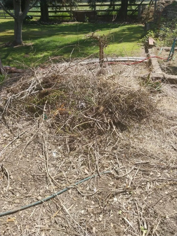 Slide of Lightyear Services