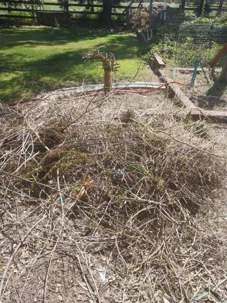 Slide of Lightyear Services