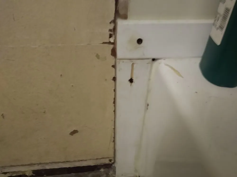 Slide of Lil D-Tailz