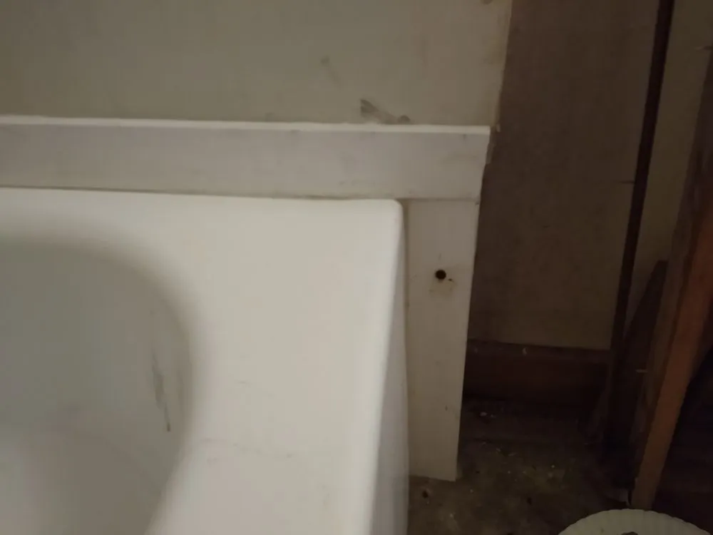 Slide of Lil D-Tailz