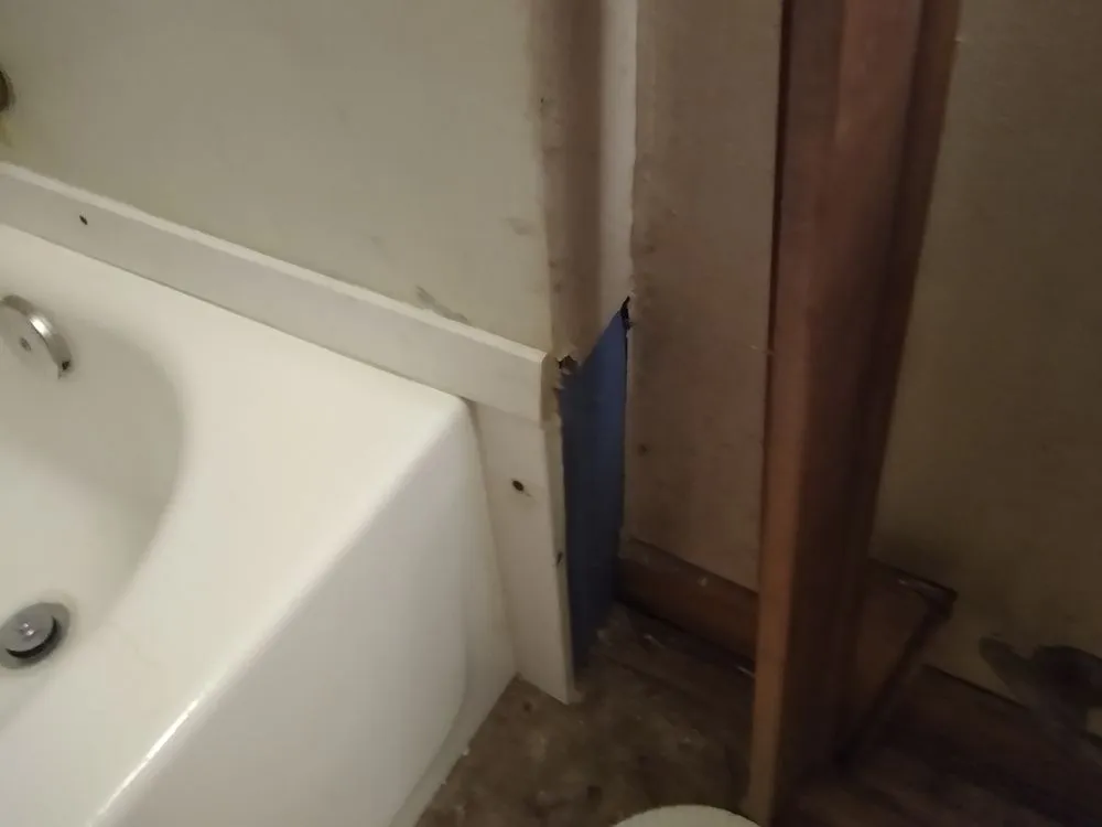 Slide of Lil D-Tailz