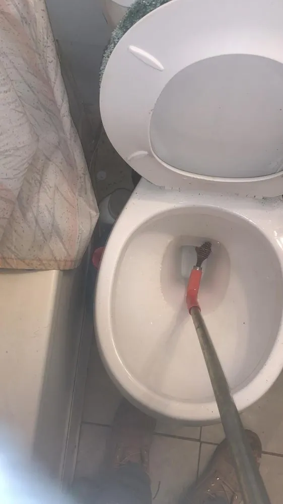 Slide of Lil Joker Maintenance