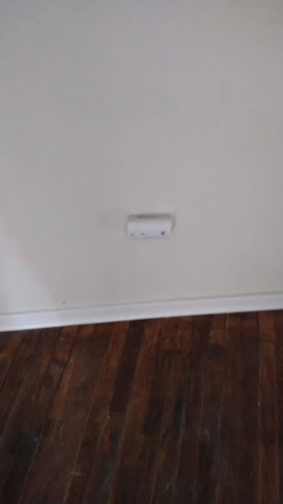 Slide of Lil Joker Maintenance