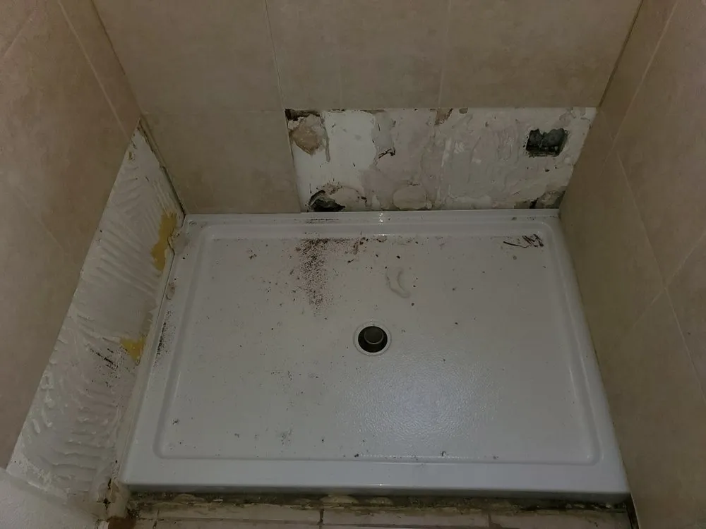 Slide of Limitless Services