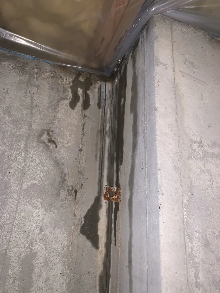 Slide of Limitless Thinkers Exposed