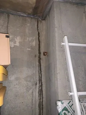 Limitless Thinkers Exposed