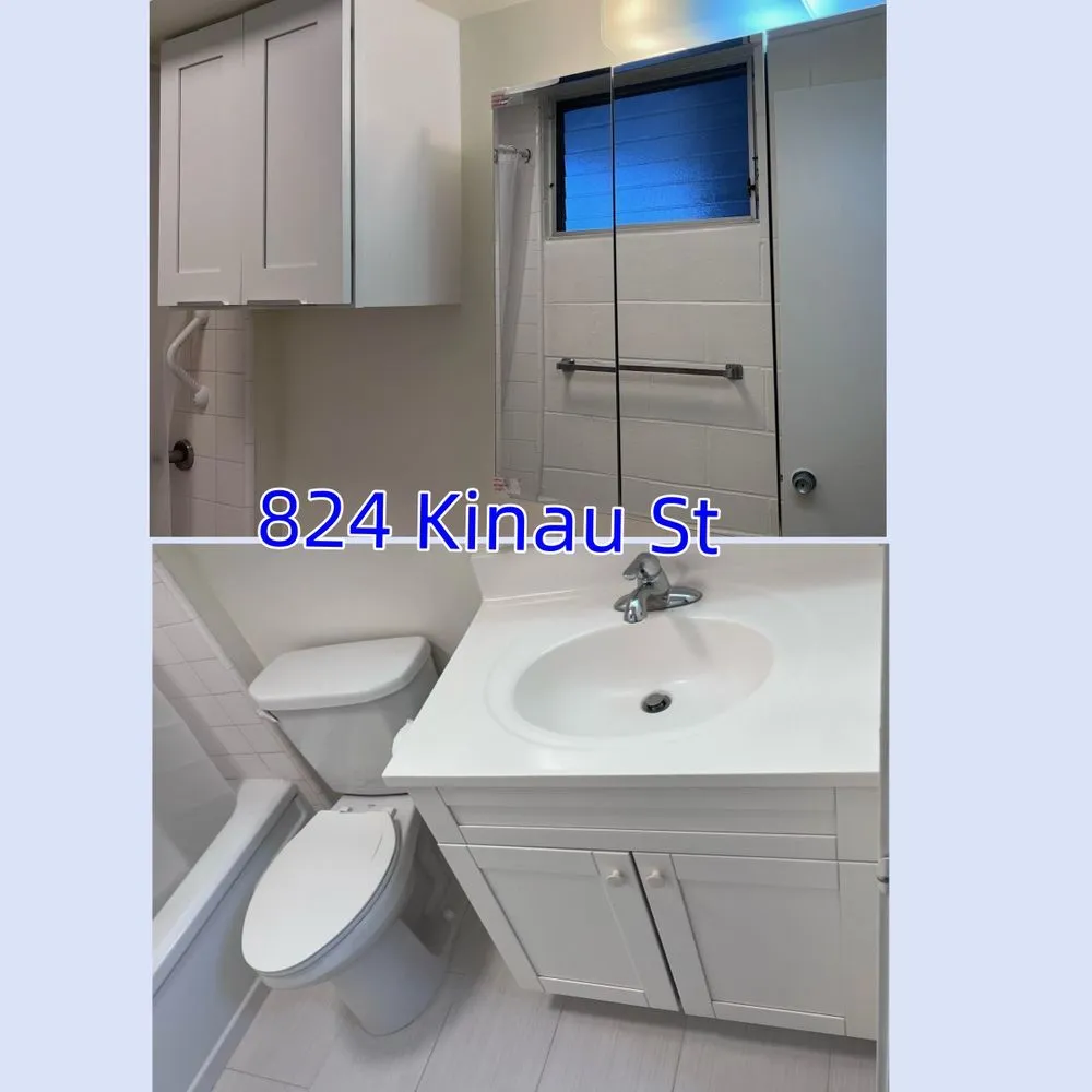 Slide of Lin Construction