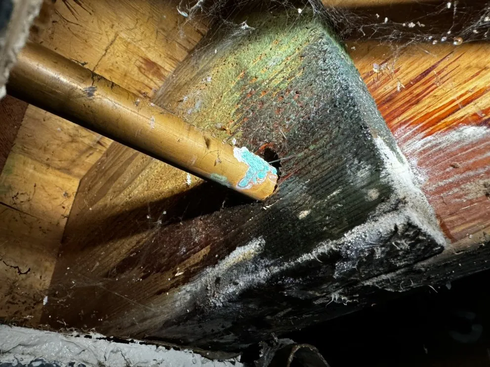 Professional drain cleaning in San Bernardino, CA by Lincoln Plumbing & Rooter