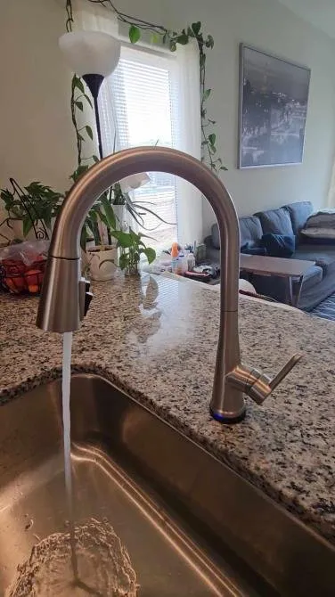 Slide of Linden Mechanical Networks