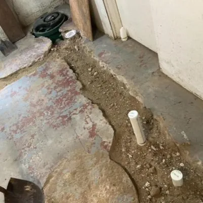 Linden Mechanical Networks