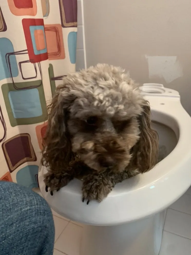 Slide of Lindenhurst Plumbing