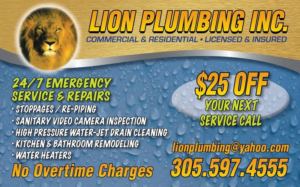 Slide of Lion Plumbing