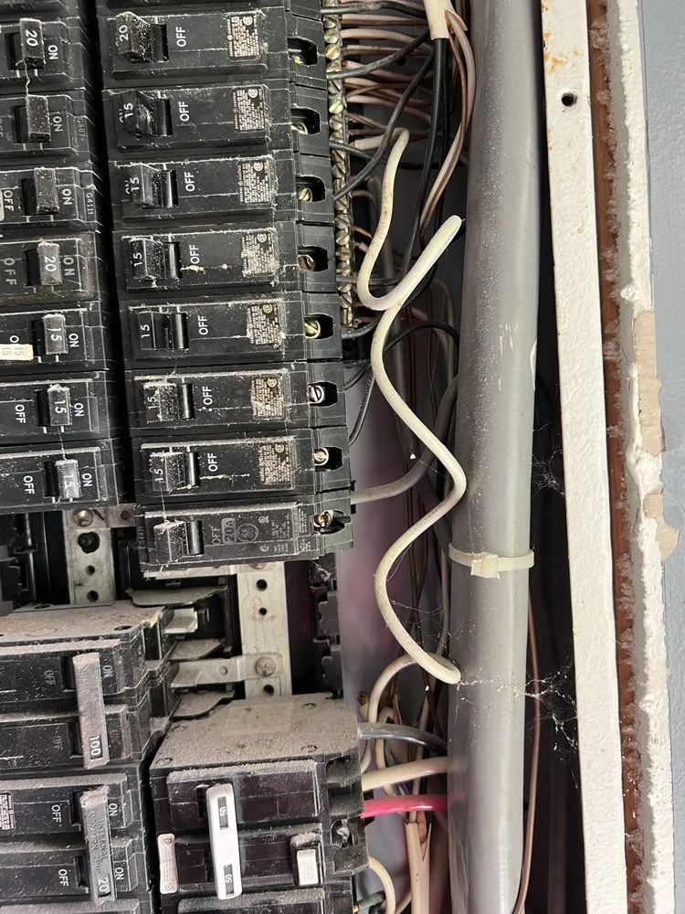 Slide of Lion Renovations