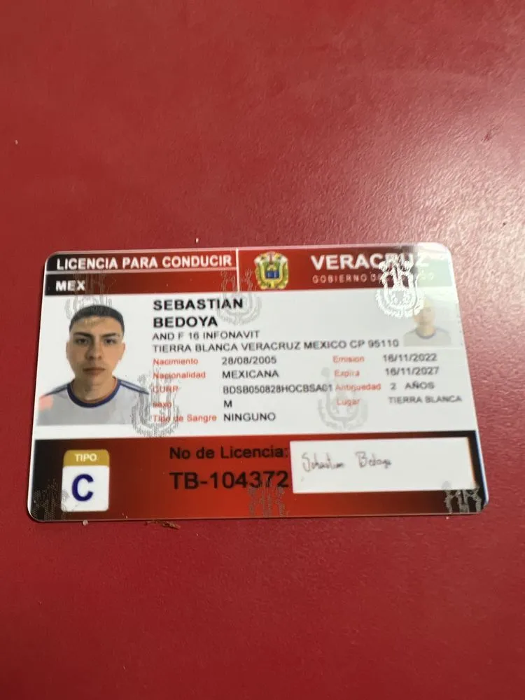 Slide of Lion Renovations