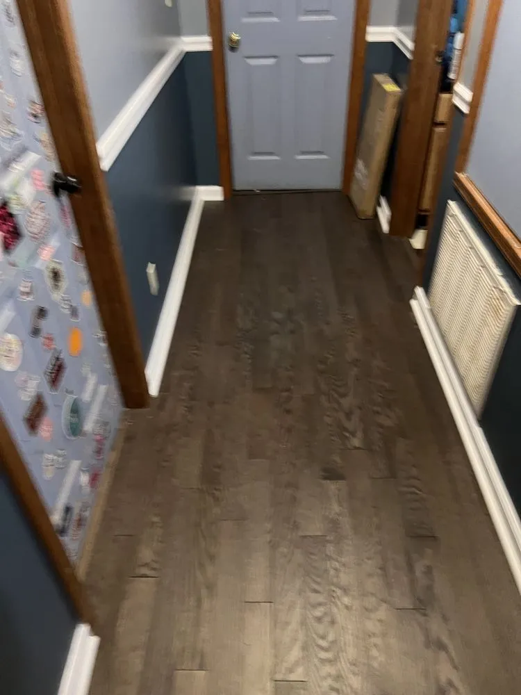 Slide of Lion Renovations