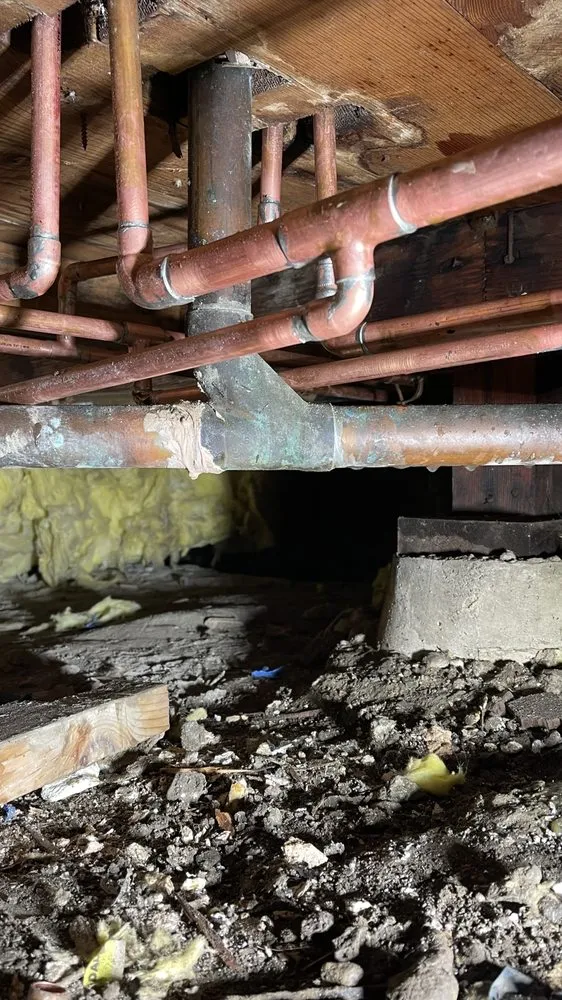 Slide of Lion Rooter And Plumbing