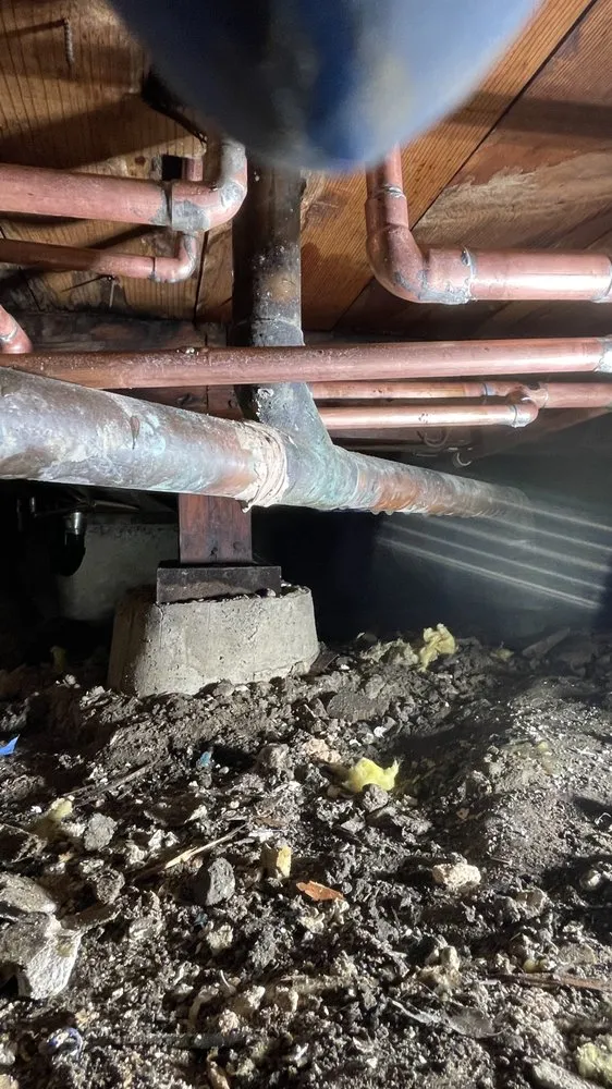 Slide of Lion Rooter And Plumbing