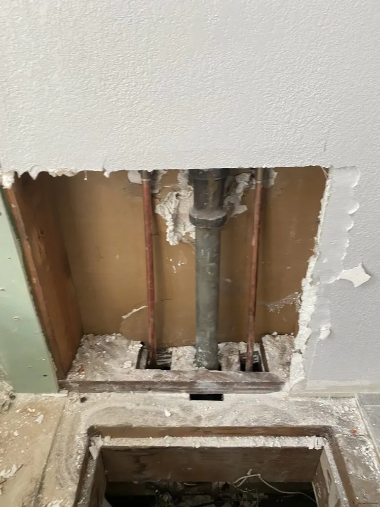 Emergency water heater service in Hayward, CA by Lion Rooter And Plumbing