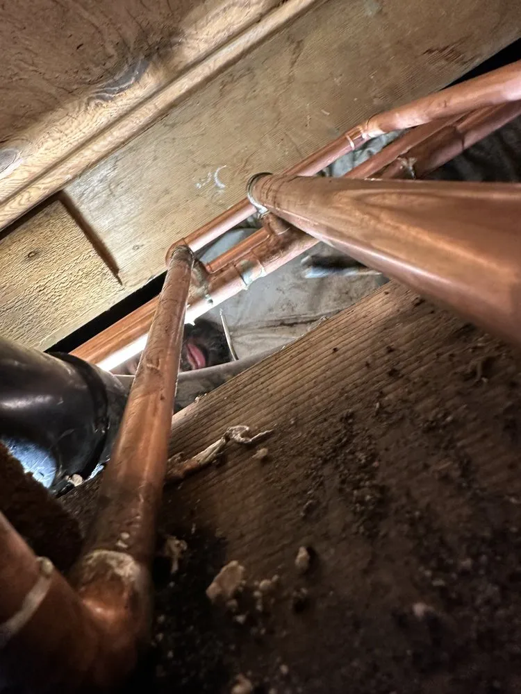 Slide of Lion Rooter And Plumbing