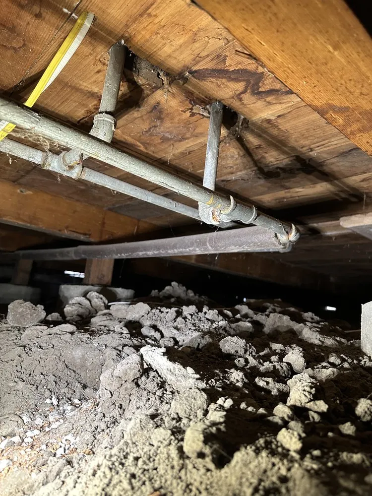 Slide of Lion Rooter And Plumbing