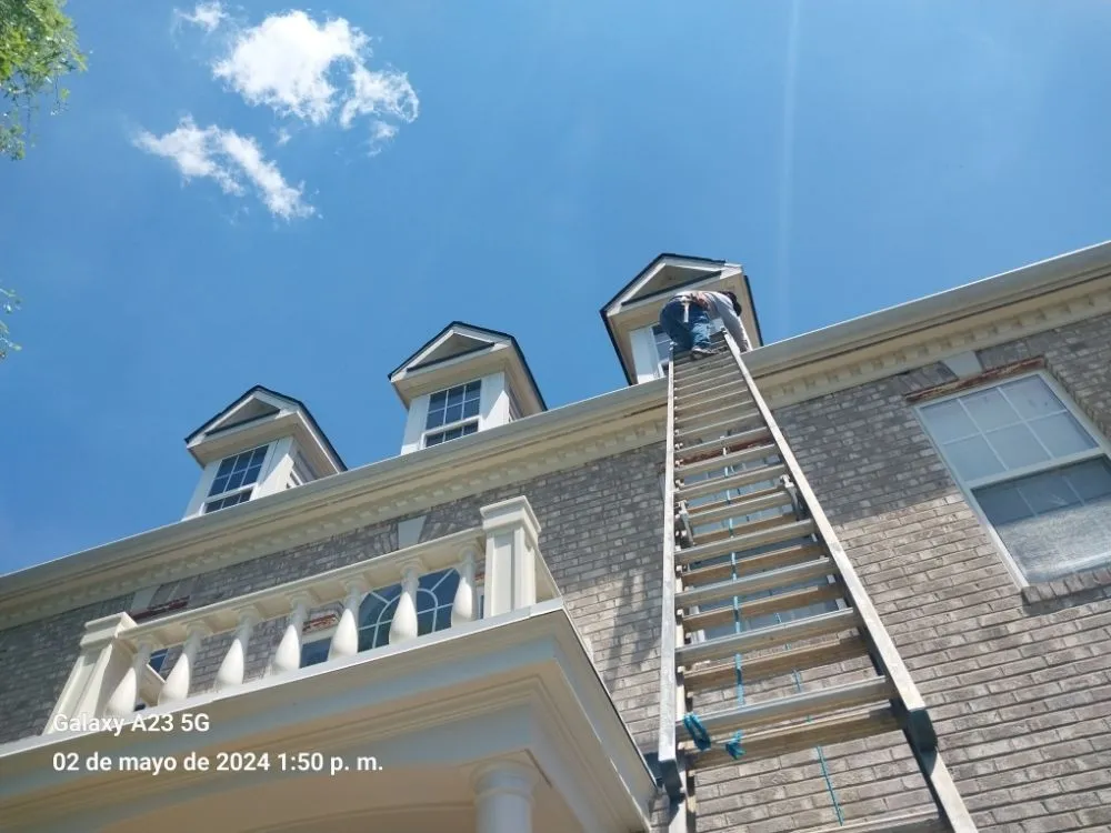 Slide of Lion Services