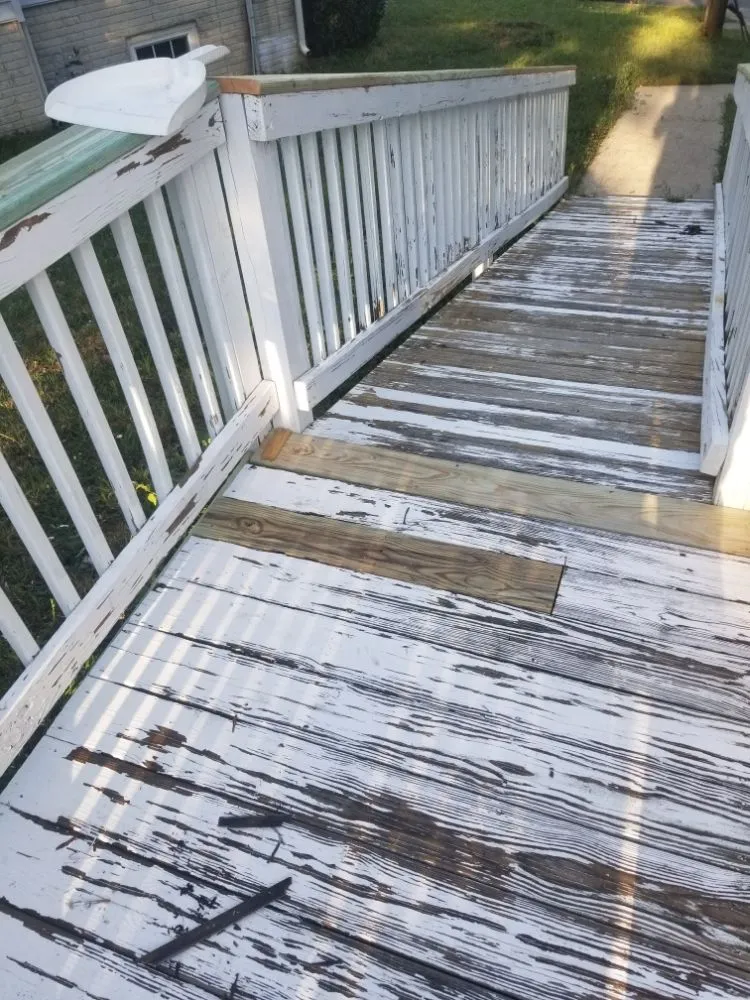 Slide of Lion Services