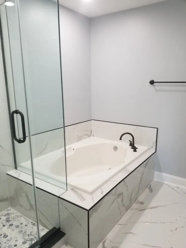 Slide of Lion Services