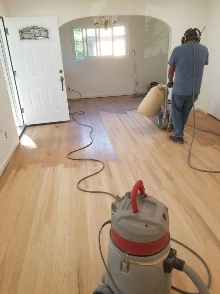 Slide of Lion Services