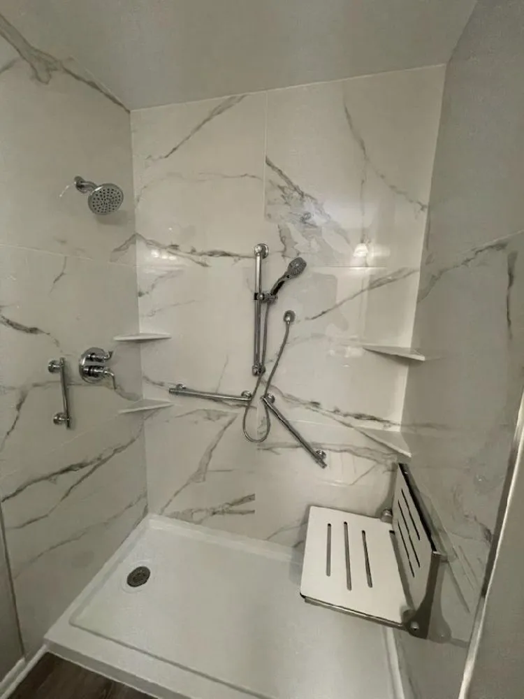 Slide of Lion Services