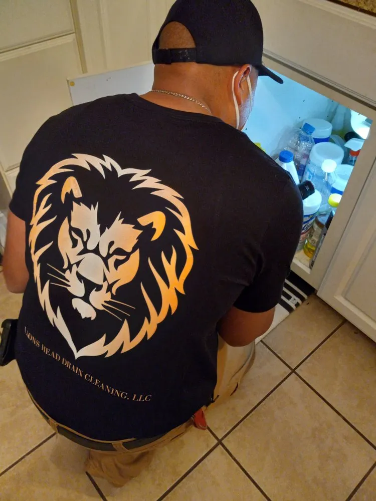 Slide of Lions Head Drain Cleaning