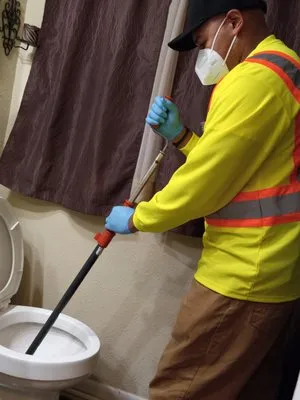 Lions Head Drain Cleaning Logo