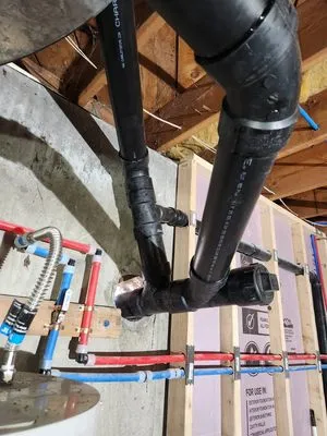 Lions Rooter Drain Cleaning Logo