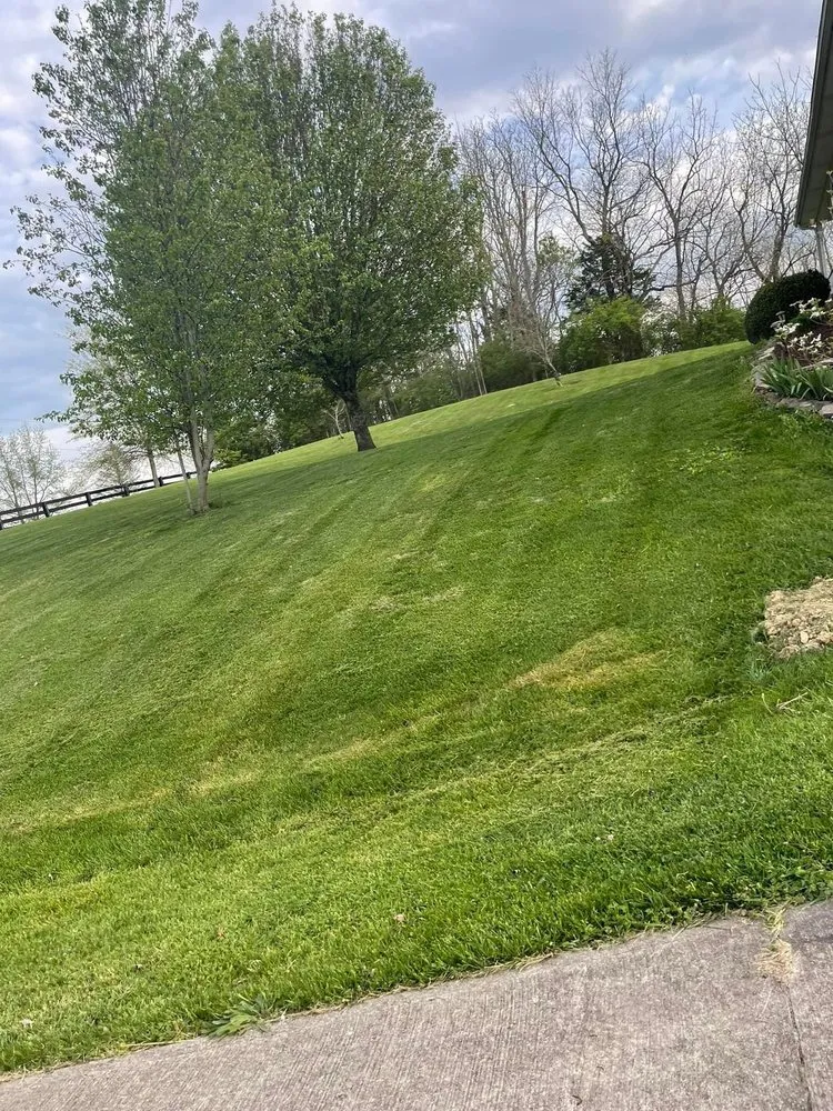 Reliable leak detection for homes in Harrodsburg, KY by Little Bush Lawn Service