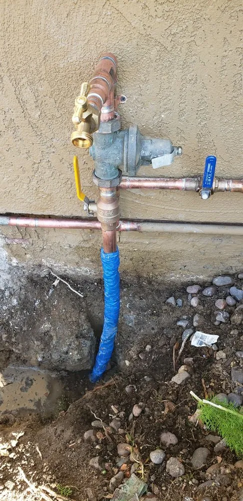 Slide of Little Ducks Plumbing