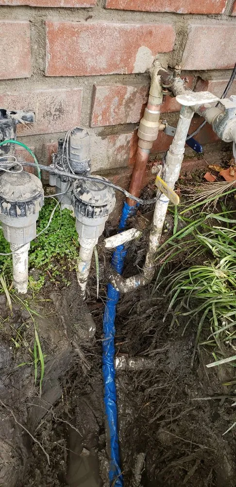 Slide of Little Ducks Plumbing