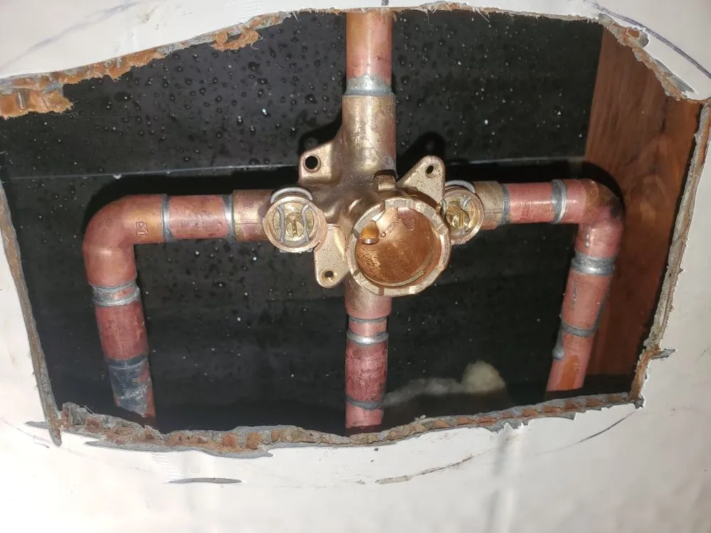 Slide of Little Ducks Plumbing