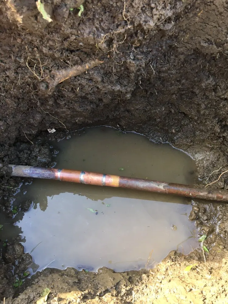 Slide of Live Action Plumbing Inc.