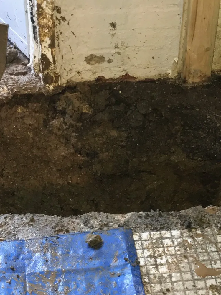 Slide of LiveGreen Plumbing Services