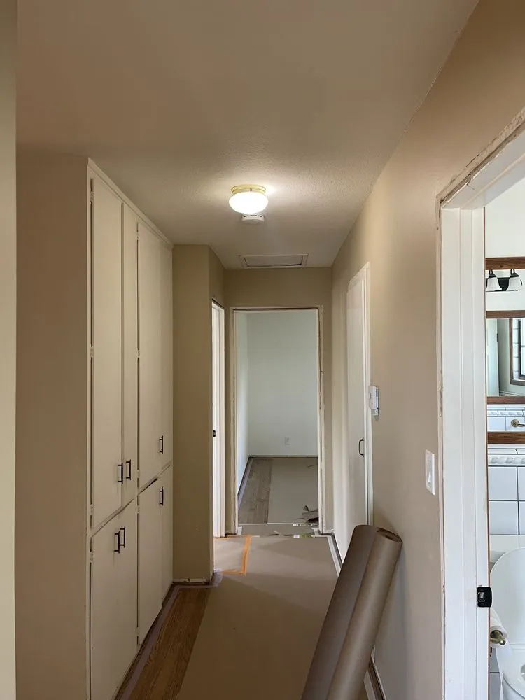 Slide of Living Color Painting & Construction