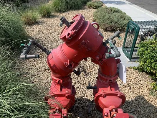 Living Waters Backflow