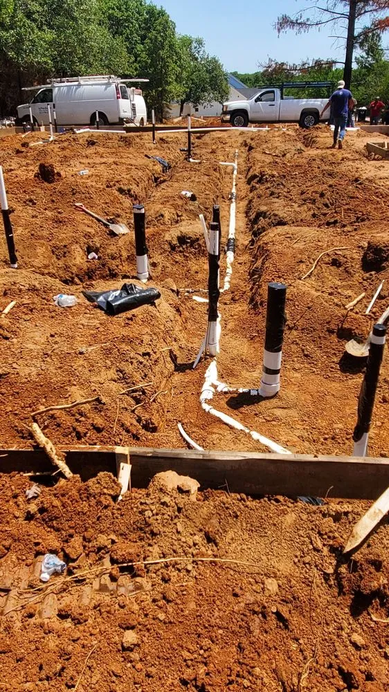 Slide of Lizard Excavation