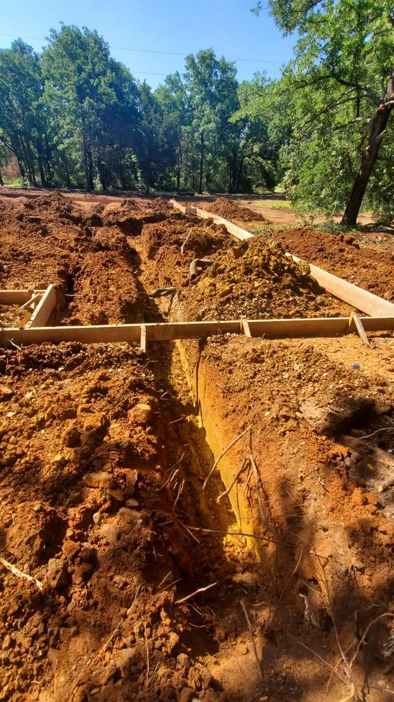 Slide of Lizard Excavation