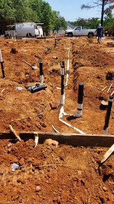 Lizard Excavation Logo