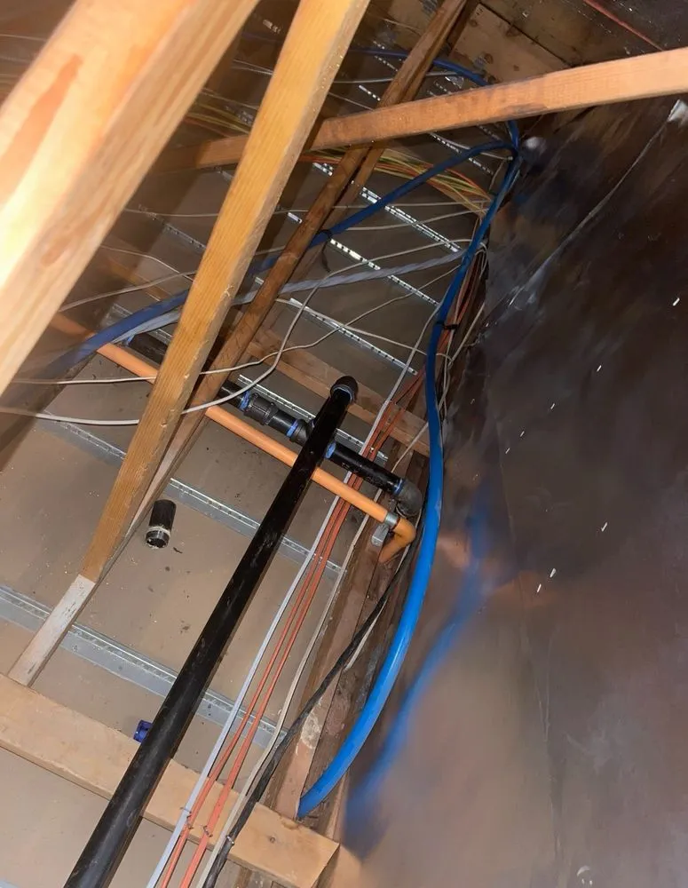 Slide of Lizard Strength