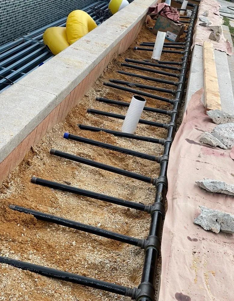 Slide of Lizard Strength