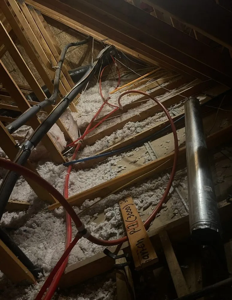 Slide of Lizard Strength