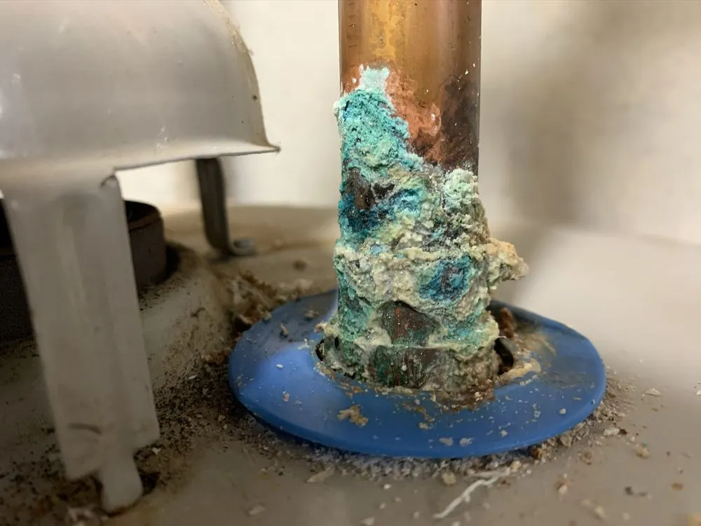 Slide of Lloyd the Plumber