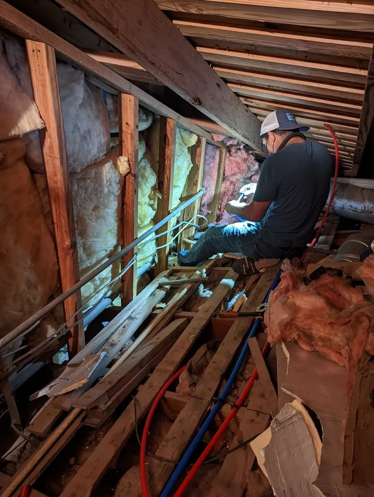 Slide of LLZ Plumbing