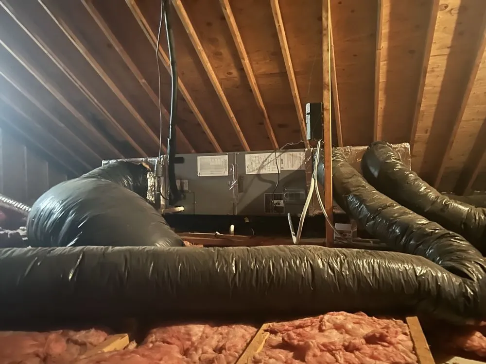 Expert drain cleaning in Parsonsburg, MD by Local Boy